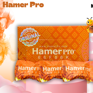 Kẹo Sâm Hamer Pro USA Hỗ Trợ Tăng Cường Sinh Lý